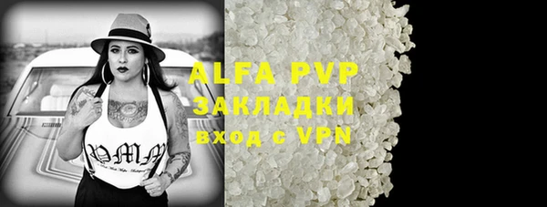 сатива Алзамай