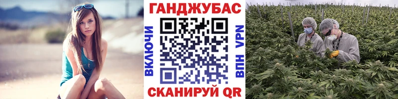 что такое   Игра  Марихуана THC 21% 